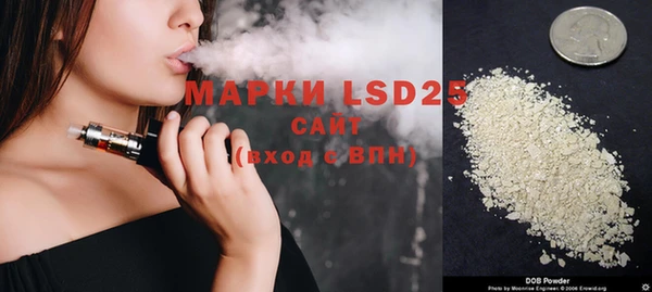 гашик Новокубанск