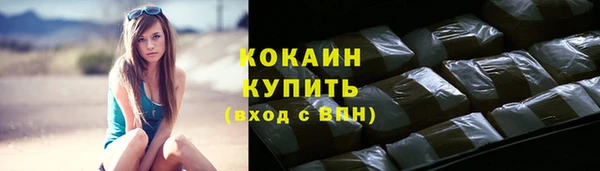 гашик Новокубанск