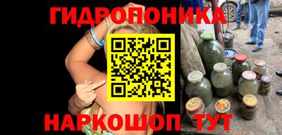хмурый Гусев