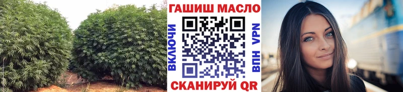 omg вход  Муром  ТГК гашишное масло 